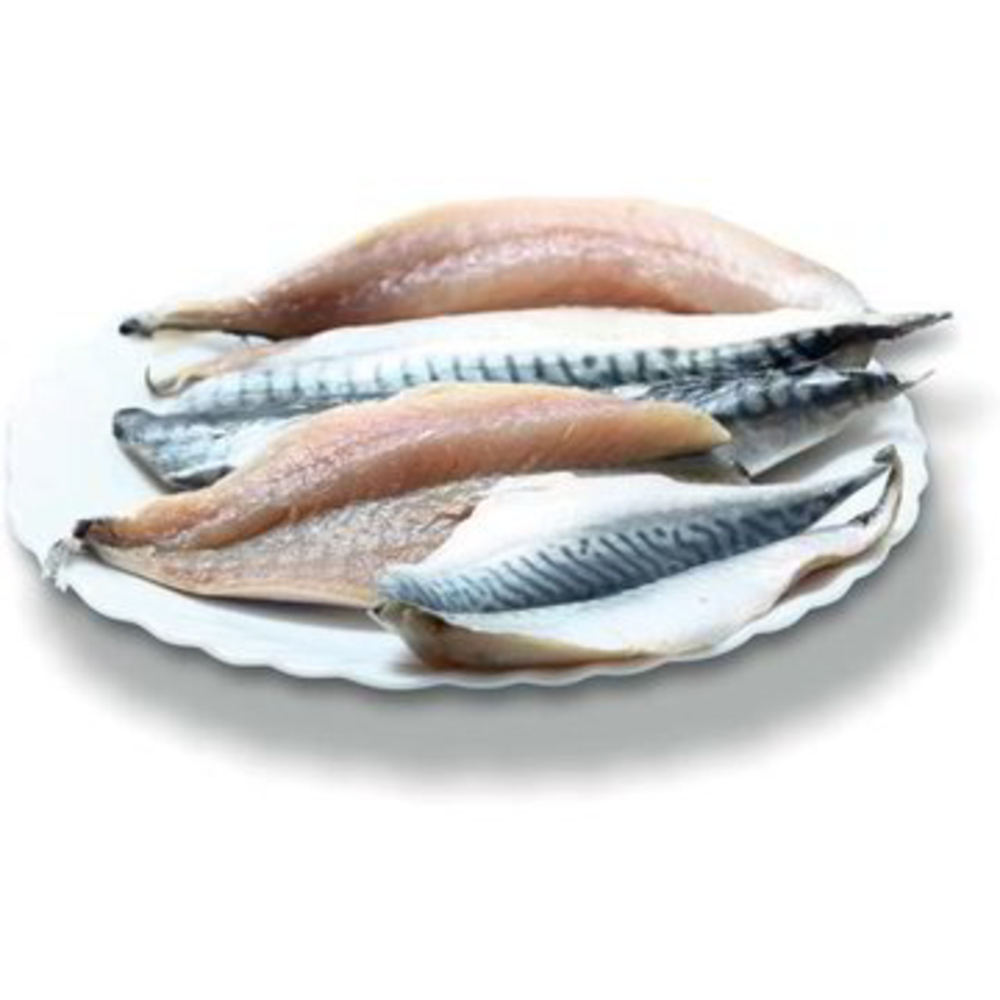FILETTO DI SGOMBRO